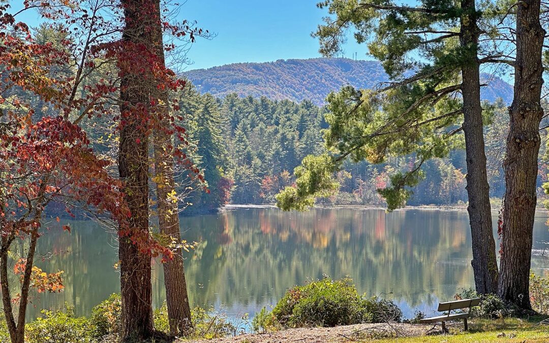Hiking Henderson County – Kanuga Hike