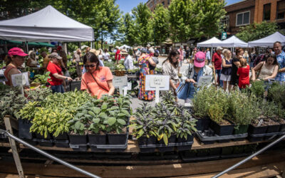 Bloom Into the Weekend: Your Guide to Garden Jubilee