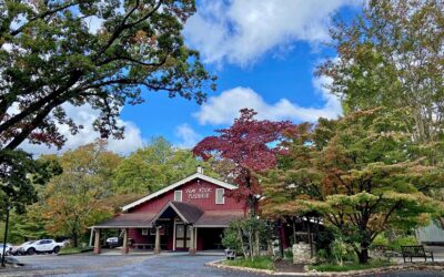 History Lesson Drive from Hendersonville to Flat Rock