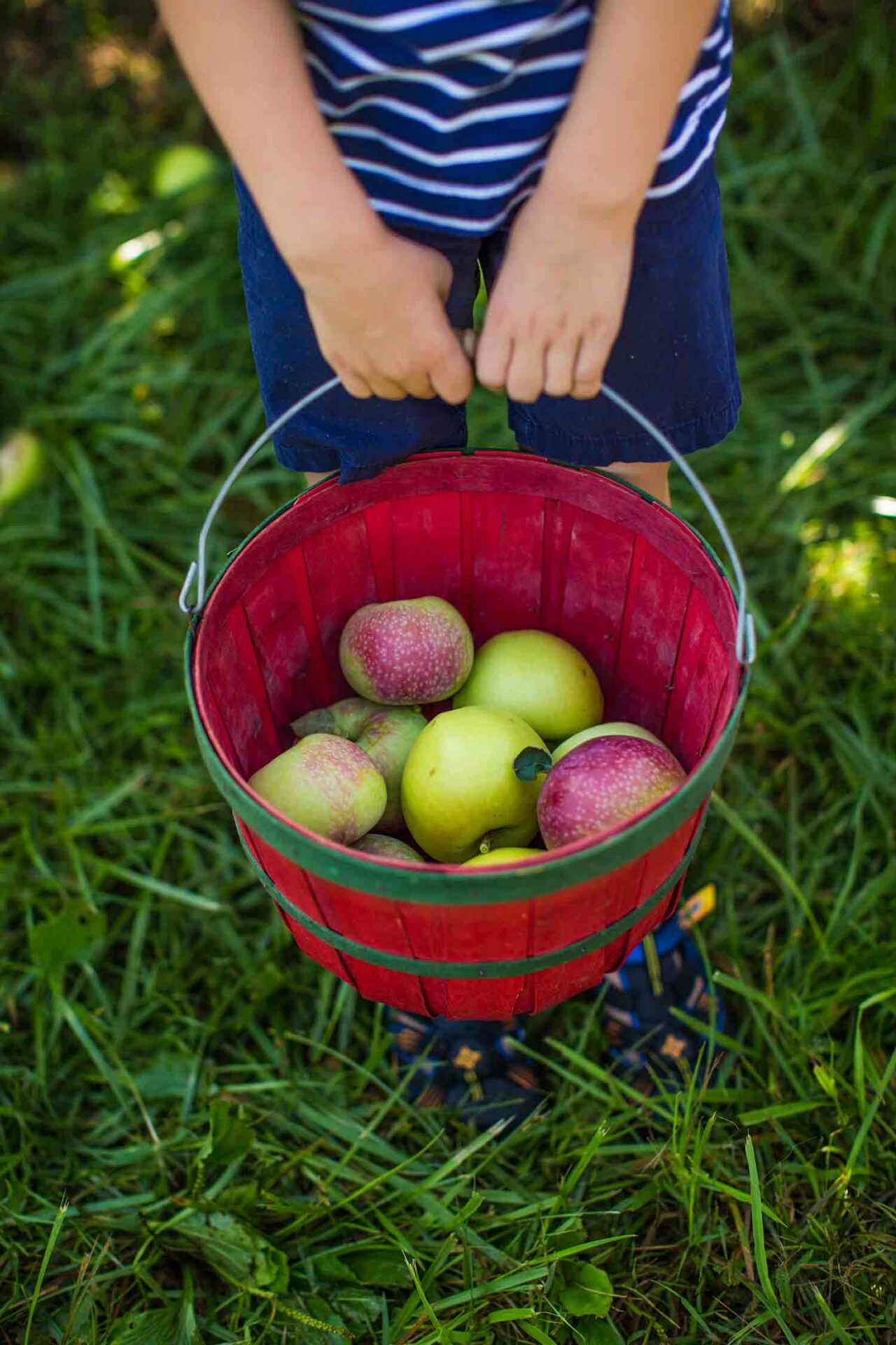 Ramble from Orchards to Vineyards To Hendersonville, NC