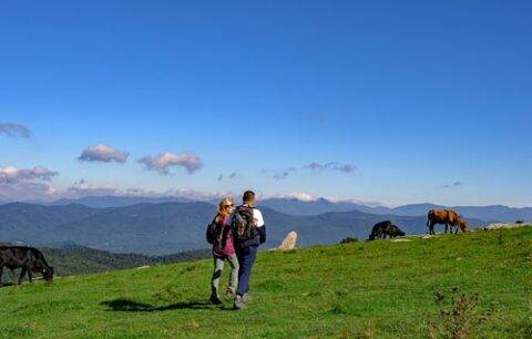 Crooked Creek Golf Course Welcome To Hendersonville NC
