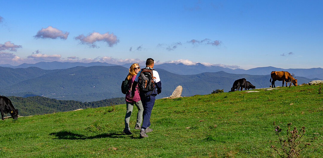 4 Seasons, Endless Fun! Why Hendersonville is Great Year-Round