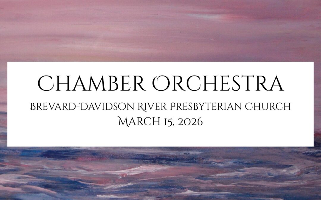 Brevard Philharmonic presents Chamber Orchestra