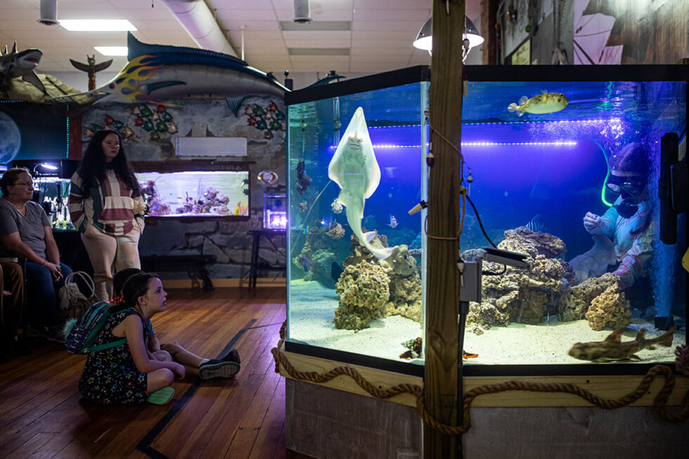 Aquarium & Shark Lab by Team ECCO To Hendersonville, NC