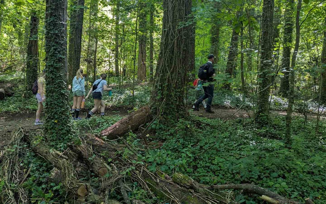 The Trails of St. John
