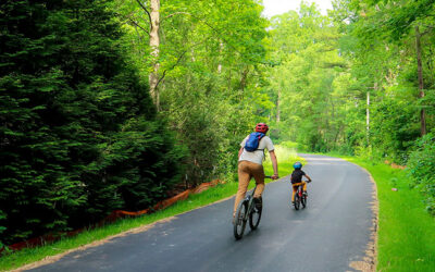 Explore the Ecusta Trail: Your Complete Guide