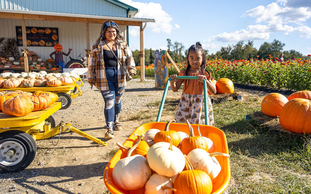 Great Spots for Pumpkin Picking