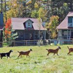 Highland Lake Properties