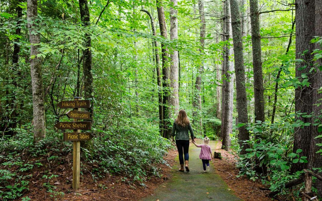 Hiking Henderson County – Holmes Educational State Forest