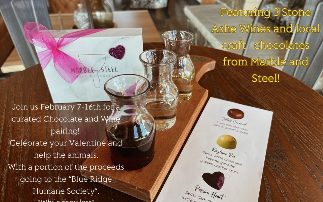 Chocolate and Wine Pairing