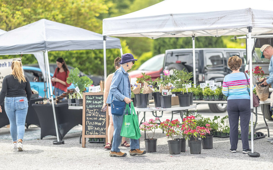 Mills River Farmers Market