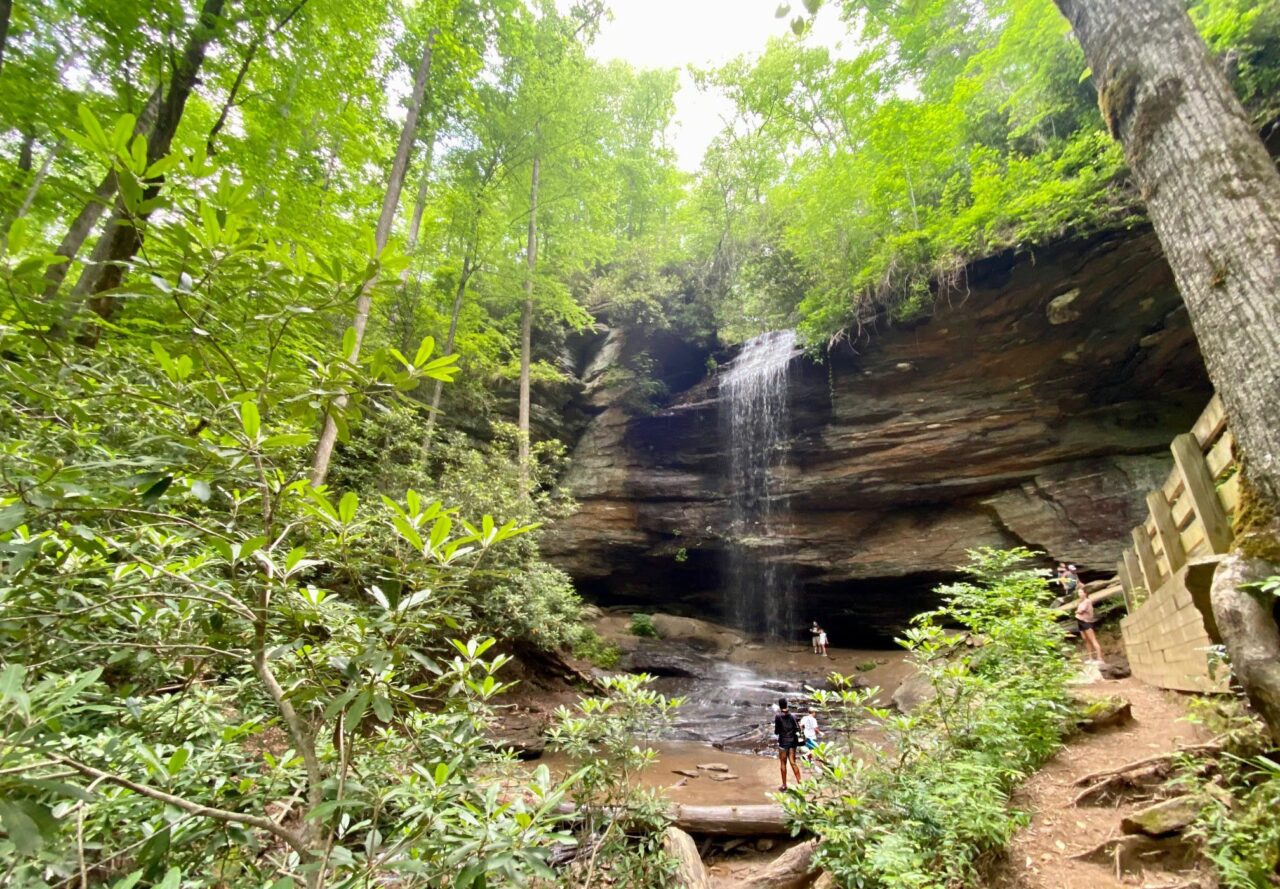 Pisgah National Forest To Hendersonville, NC