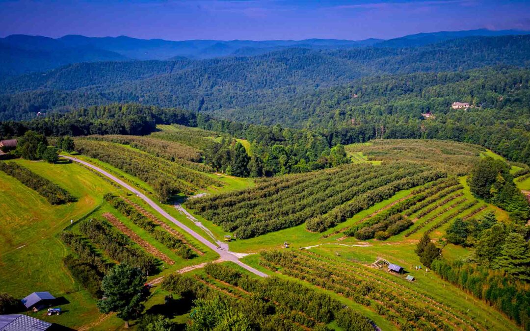 Orchard Spotlight: “Behind the apple” of Hendersonville’s U-Pick Orchards