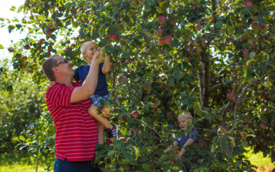 Fall at the Farms: Hendersonville’s Apple Season