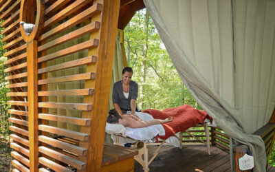 Escape the Hustle: Hendersonville’s Best Spots to Relax and Recharge