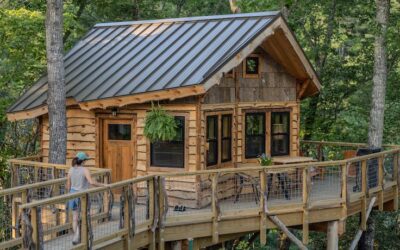 Stay Among the Trees: Unique Treehouses around Hendersonville