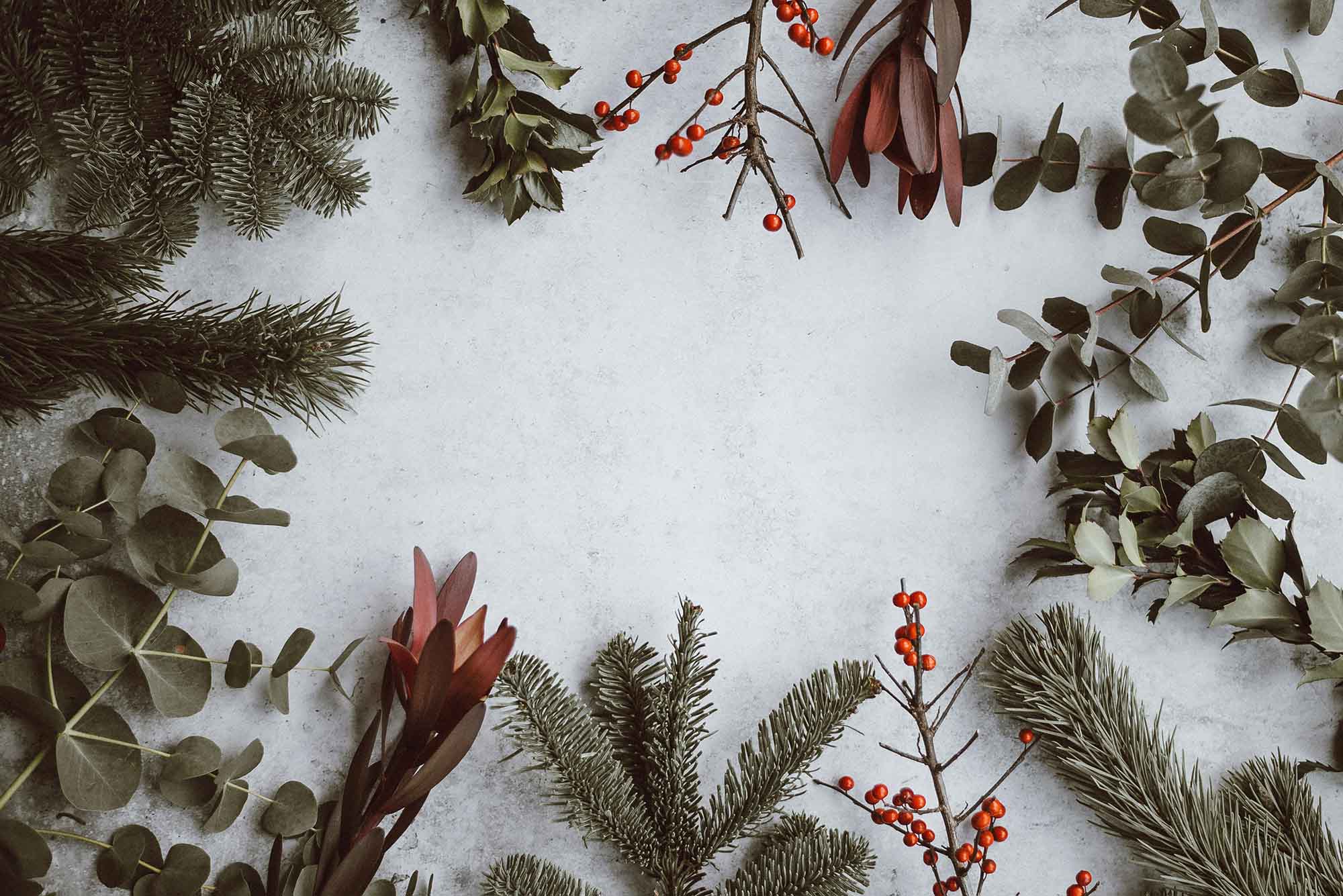 christmas-stock