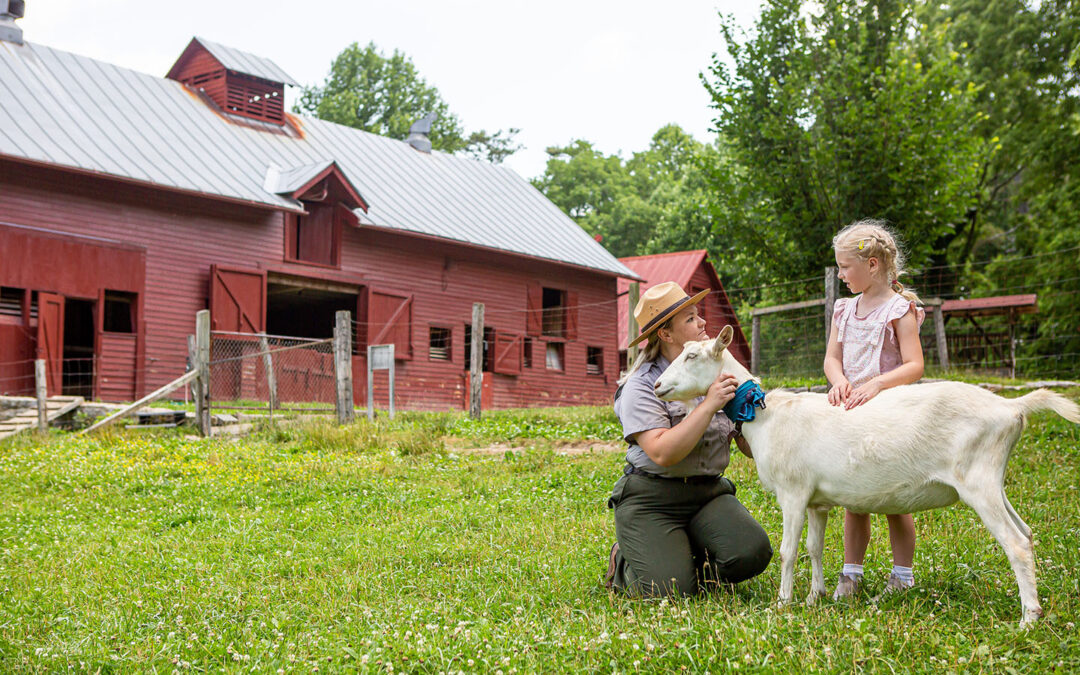 Ultimate Family Summer Adventure: Your Last Hurrah Before School Begins