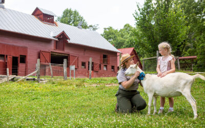 Ultimate Family Summer Adventure: Your Last Hurrah Before School Begins