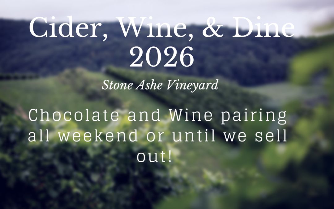 Chocolate and Wine Pairing