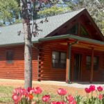 ecusta-trailhead-cabin