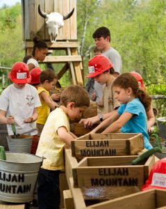 Elijah Mountain Gem Mine