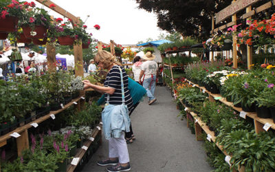 Your Perfect Memorial Day Weekend in Hendersonville, NC
