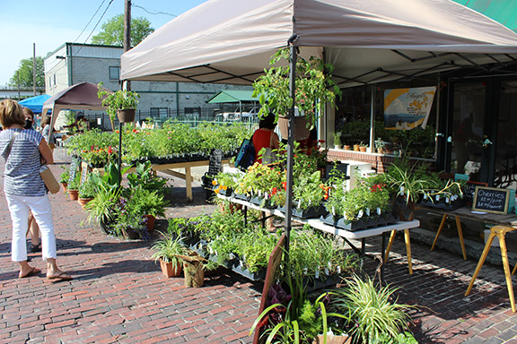 stand at a farmers market on brick road