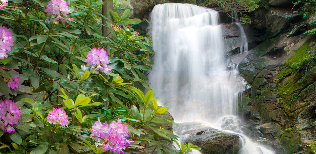 3-Day Spring Break Itinerary in the Blue Ridge Mountains: Exploring Hendersonville