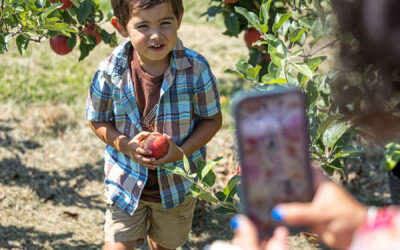 Your guide to apple season in Hendersonville, NC