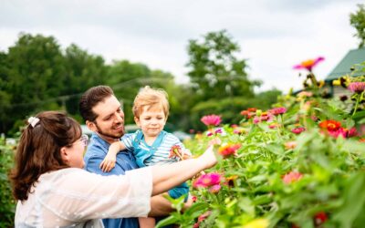 Must-Dos in Hendersonville for Spring: Hikes, Events, U-Picks, and More