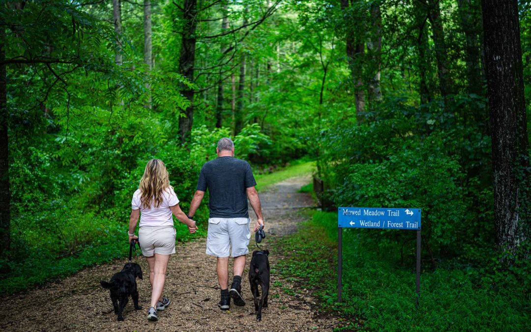 Hendersonville’s Trail Guide: From Scenic Hikes to Sweet Delights
