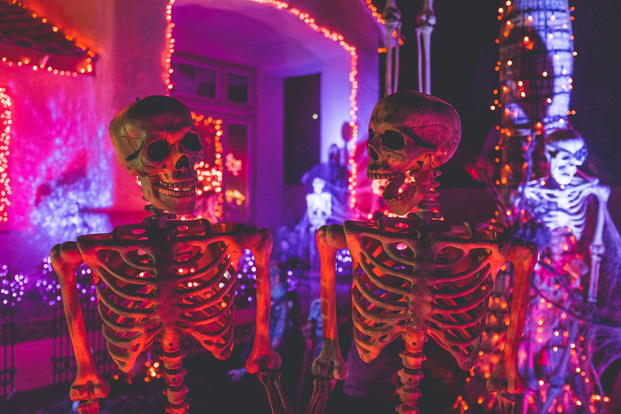 halloween-stock