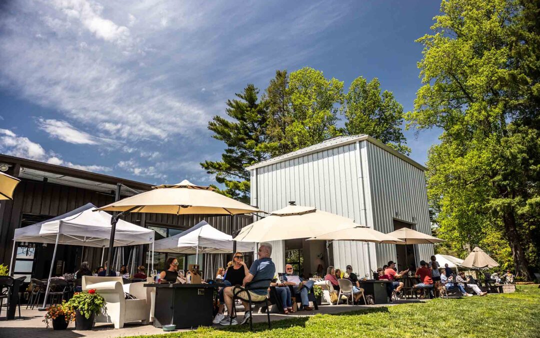 A Taste of Elevation: Marked Tree Vineyard