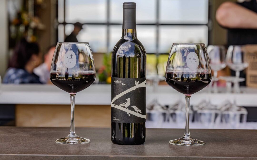 Barrel Room Food and Wine Experience at Marked Tree Vineyard