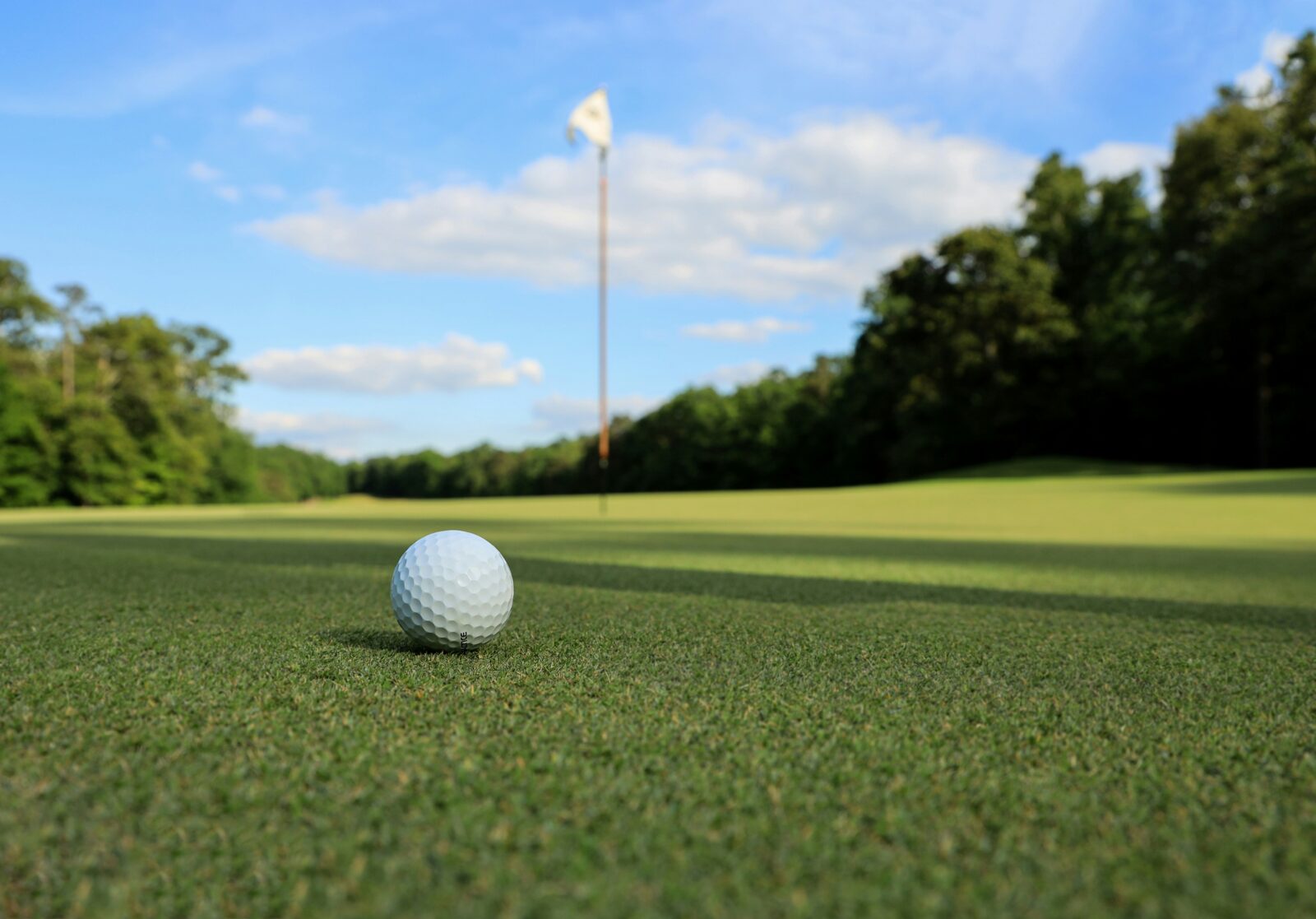 golf ball sitting on green grass