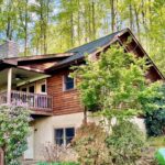 mt-mitchell-view-cabin