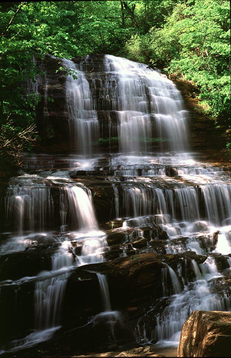 Pearson’s Falls Nature Preserve To Hendersonville, NC