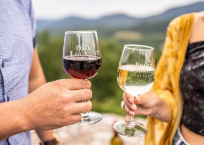 wine glasses clinking with mountain view
