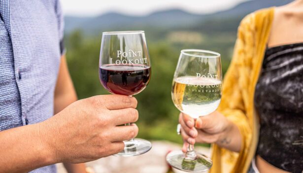 wine glasses clinking with mountain view