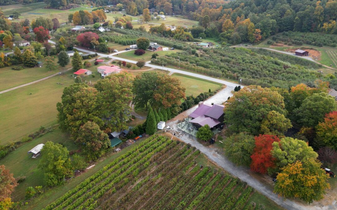 Appalachian Ridge Farm and Apple Orchard Hike