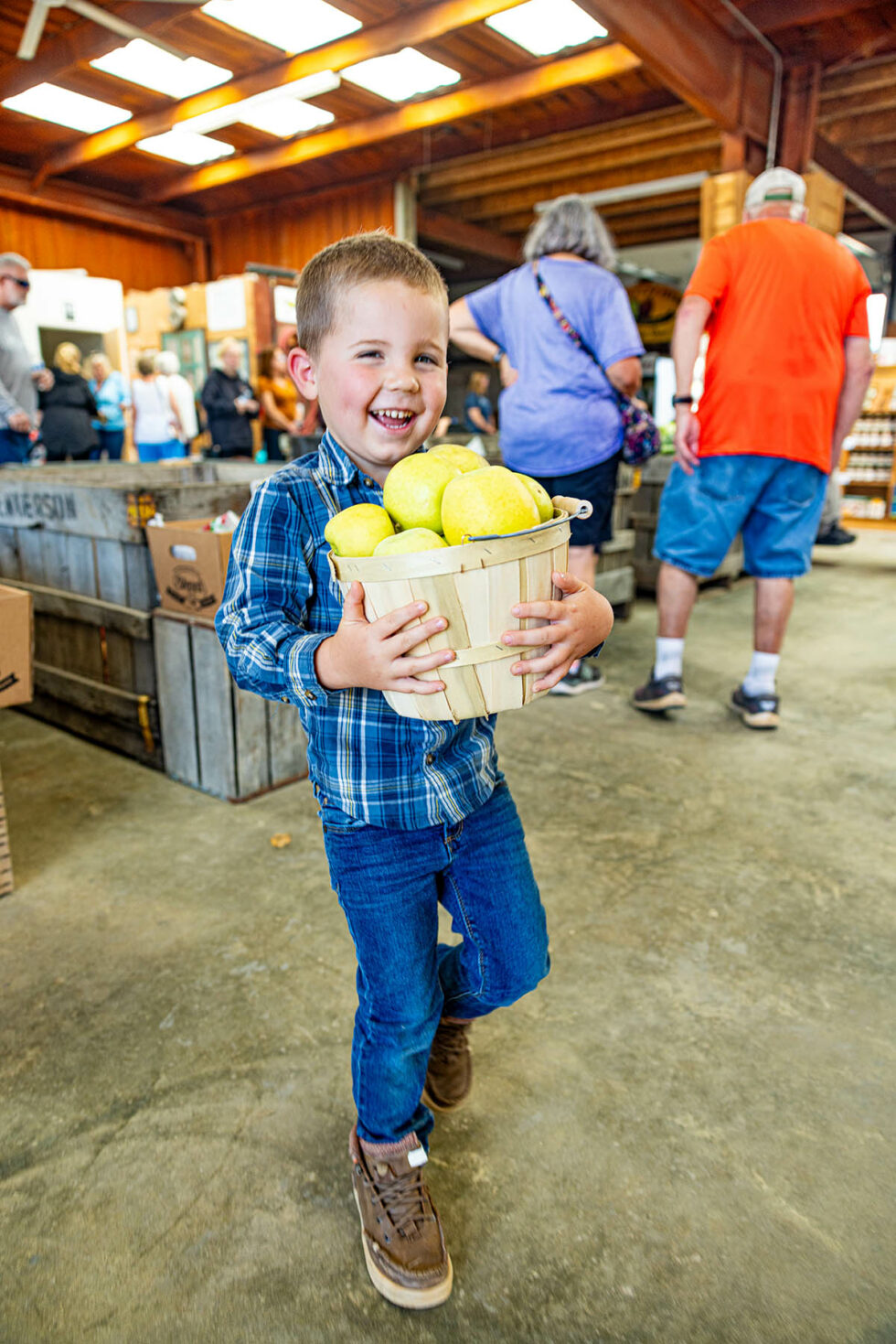 your-guide-to-apple-season-in-hendersonville-nc-welcome-to