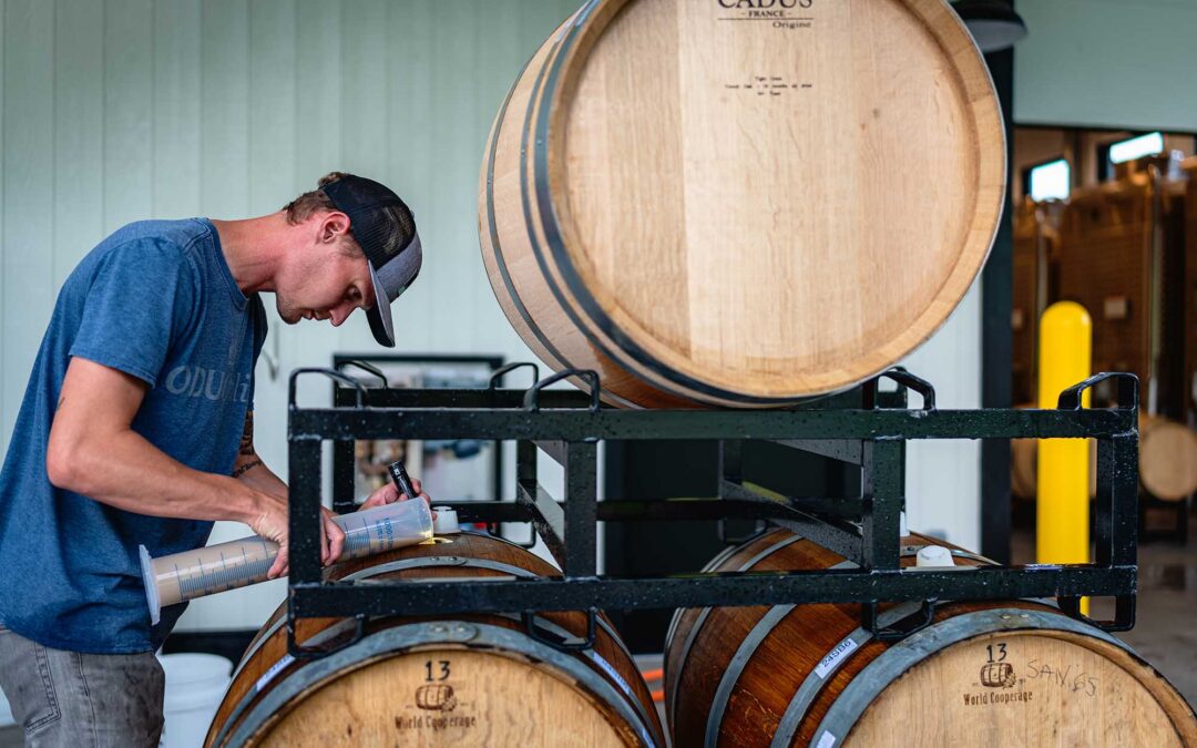 Blind Tasting- Burgundy vs. Blue Ridge