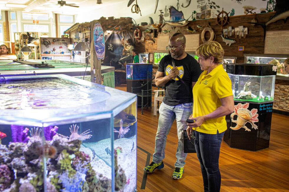 Attractions To Hendersonville, NC