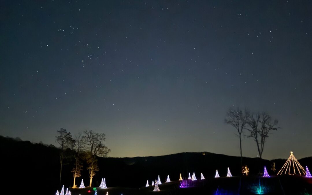 Wine in Winter Wonder at Marked Tree Vineyard
