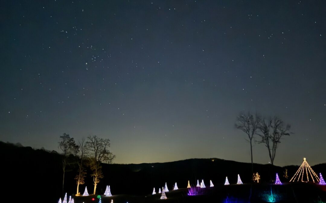 Wine in Winter Wonder at Marked Tree