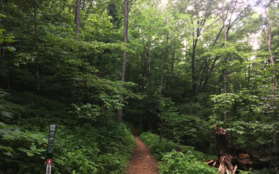 Hiking Henderson County – Trombatore Trail